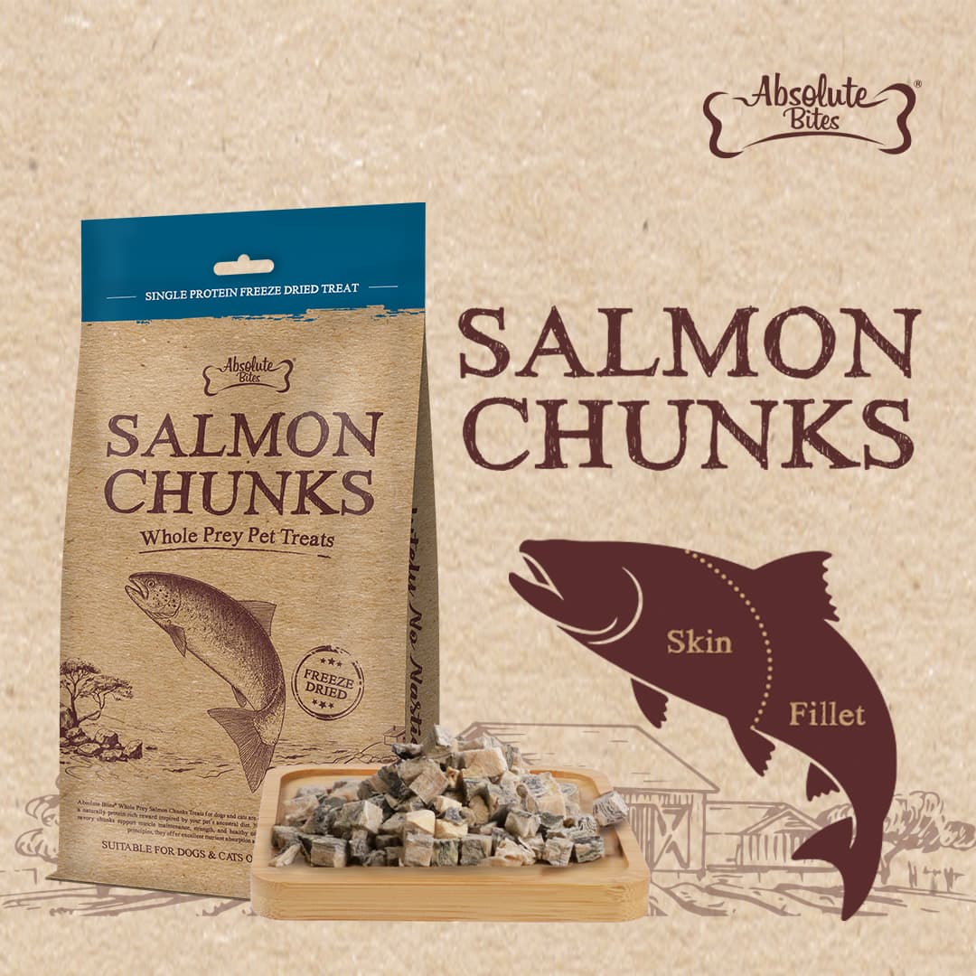 Absolute Bites Single Protein Whole Prey Freeze Dried Treats for Cats & Dogs - Salmon Chunks (50g) #NEW