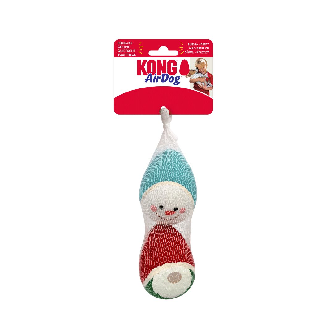 KONG Holiday AirDog® Squeaker Egg (Medium), 2pcs