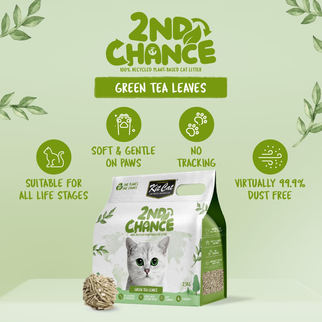 Kit Cat 2nd Chance Plant-Based Cat Litter - Green Tea Leaves (6 X 2.5KG) (Carton)