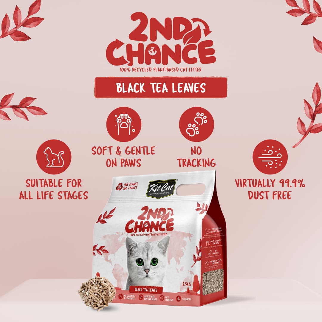 Kit Cat 2nd Chance Plant-Based Cat Litter - Black Tea Leaves (6 X 2.5KG) (Carton)