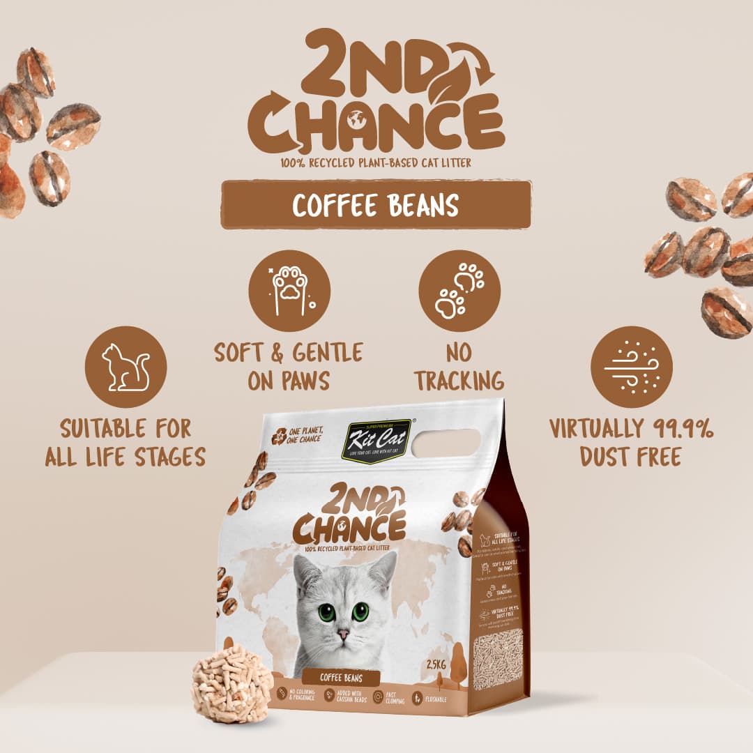 Kit Cat 2nd Chance Plant-Based Cat Litter - Coffee Beans (6 X 2.5KG) (Carton)