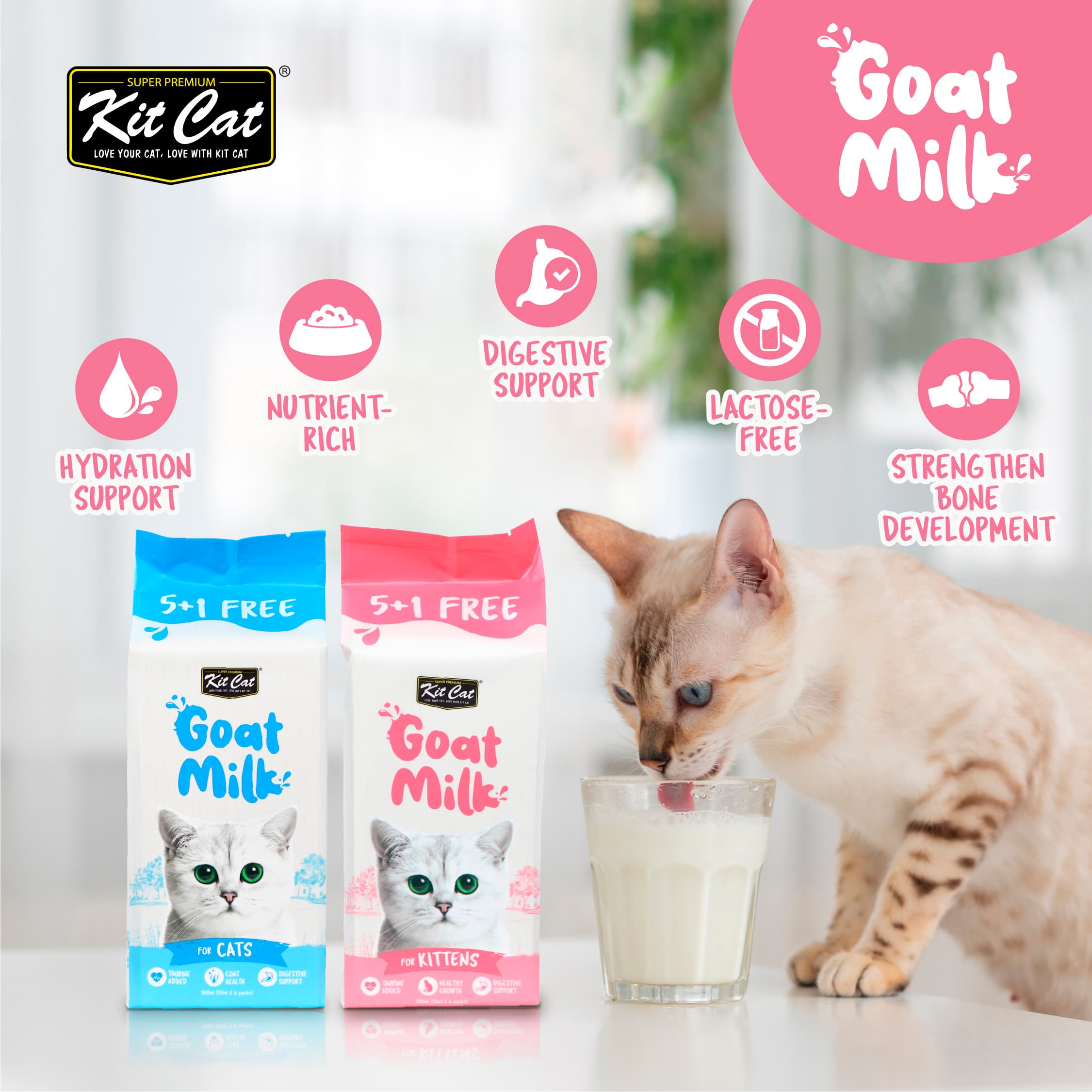 Kit Cat Lactose-Free Goat Milk Pouches for Kittens 300ml (50ml x 6) | Carton of 8