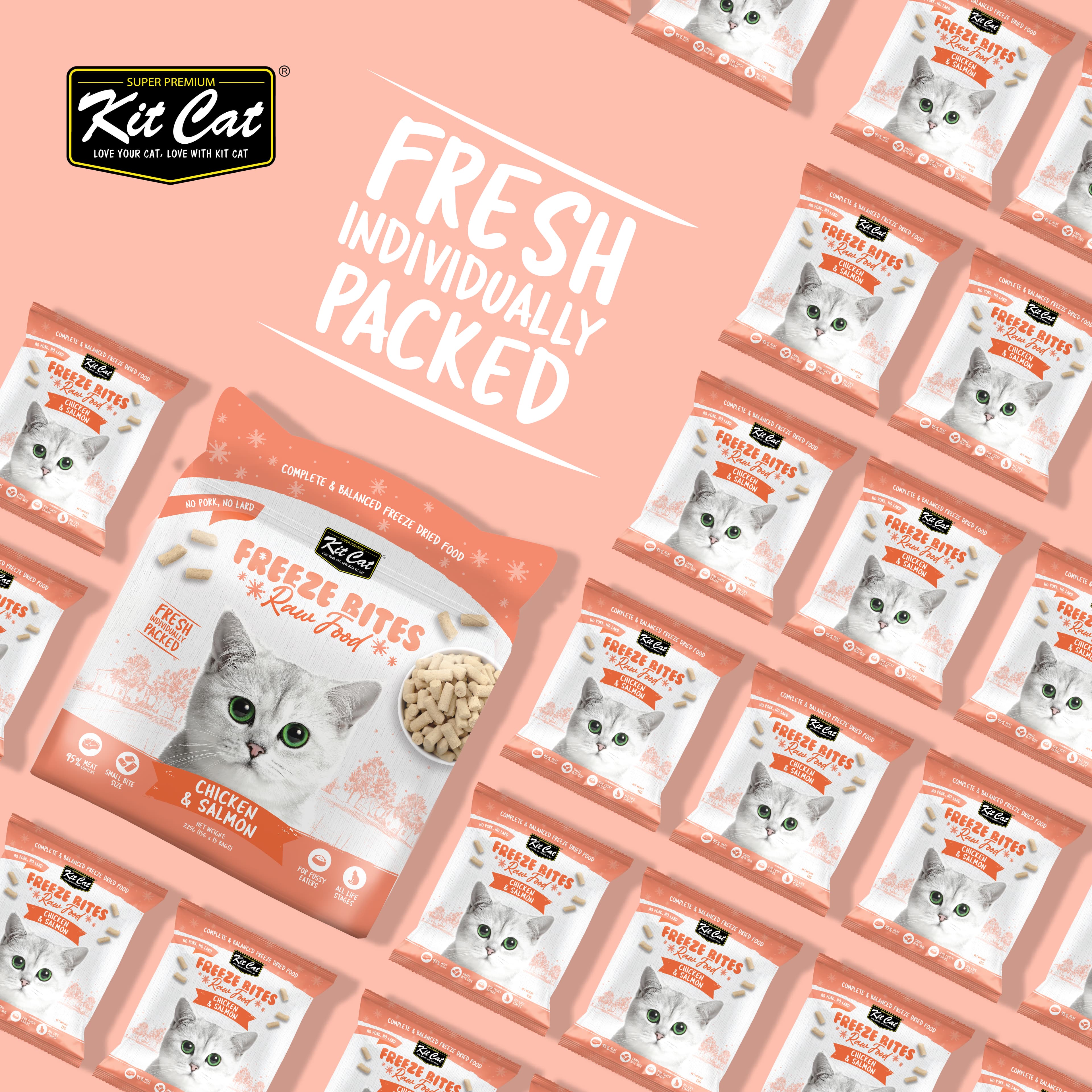 Kit Cat Freeze Bites Raw Diet for Cats - Chicken & Salmon (225g) | 15 Packs