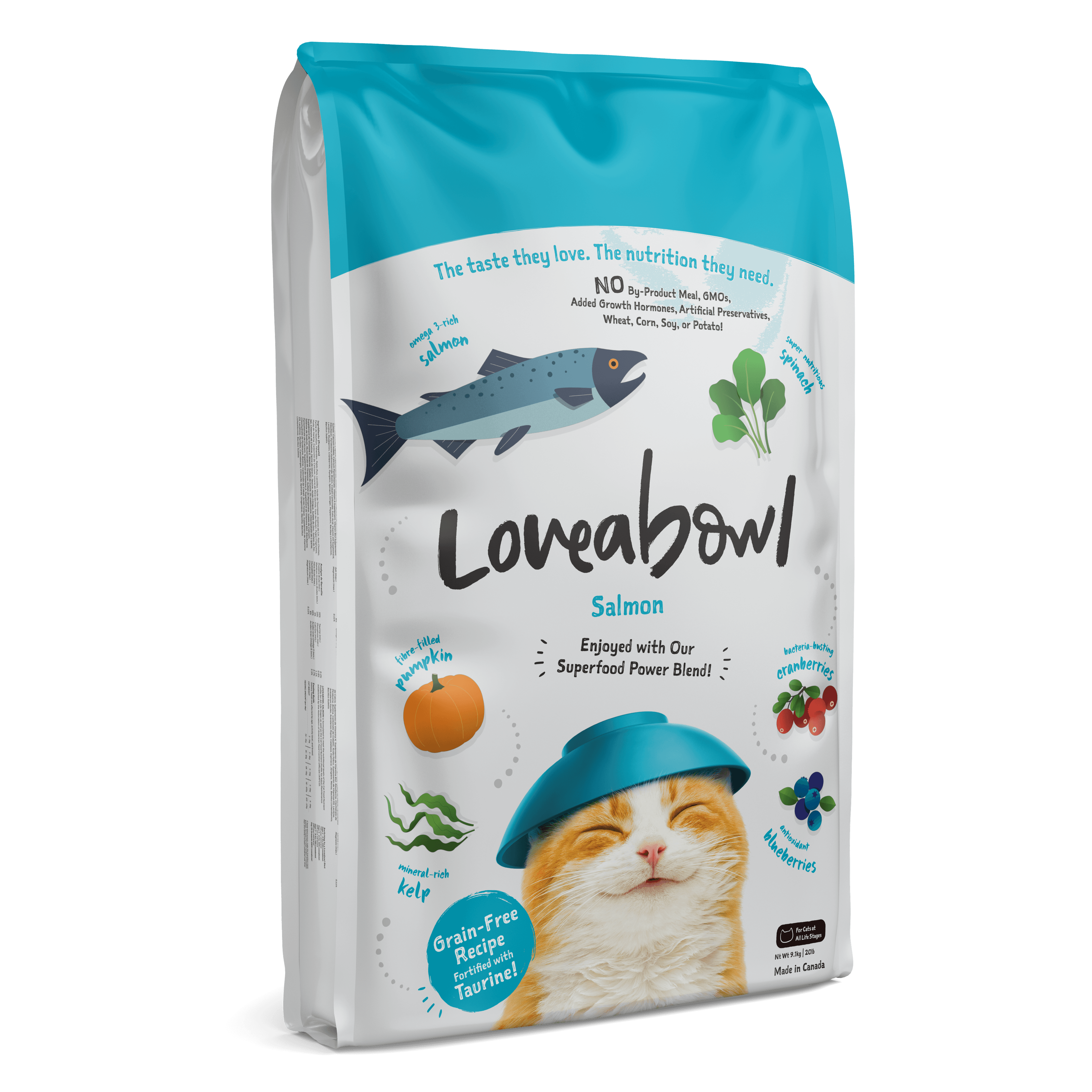 Loveabowl Grain Free Dry Cat Food (Salmon), 9.07kg